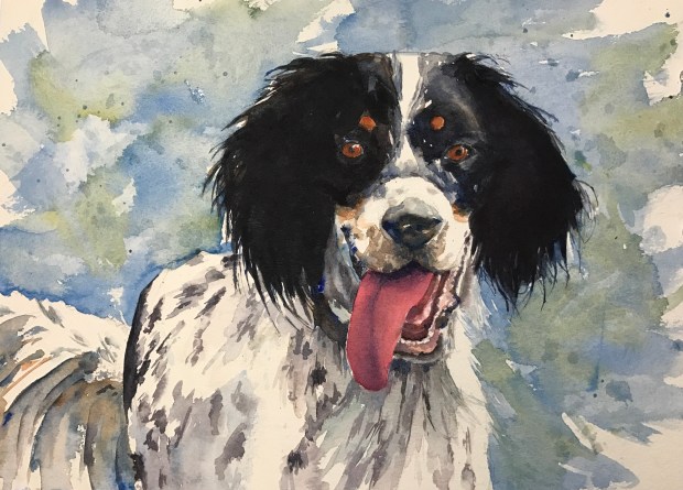 3331BEA1-DF33-40F5-81F3-0E8BE7686E61