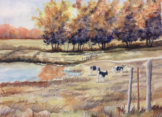 8334305C-E277-42C6-A859-5D254FCE17E9