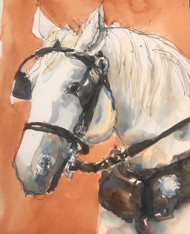 97A553DD-E534-4164-9CB2-C3F444C3812E