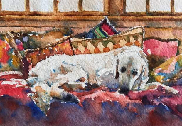 DAA1110B-B8A8-4BF0-91E4-ECF01B1FE7D6