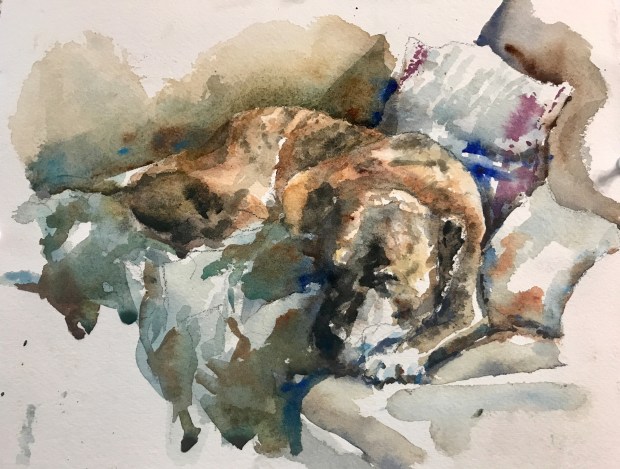 EC78DD3A-B374-4342-85D8-8E3DA9553499